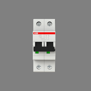 S202-C10 Miniature Circuit Breaker - 2P - C - 10 A