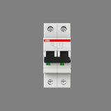 S202-B25 Miniature Circuit Breaker - 2P - B - 25 A