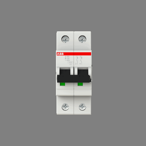 S202-B32 Miniature Circuit Breaker - 2P - B - 32 A