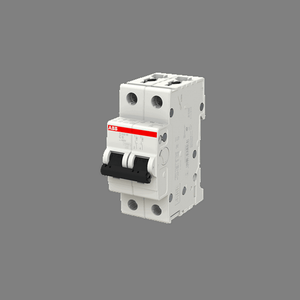 S202M-C6 Miniature Circuit Breaker - 2P - C - 6 A