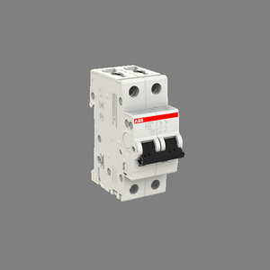 S202M-B63 Miniature Circuit Breaker - 2P - B - 63 A
