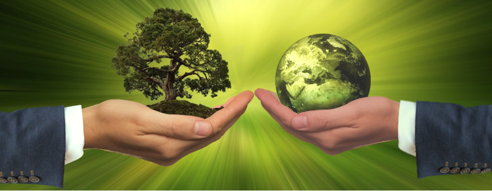 Why Sustainability is Vital to Singapore’s Economy Market Size and Key Growth Areas Why Sustainability is Vital to Singapore’s Economy Market Size and Key Growth Areas